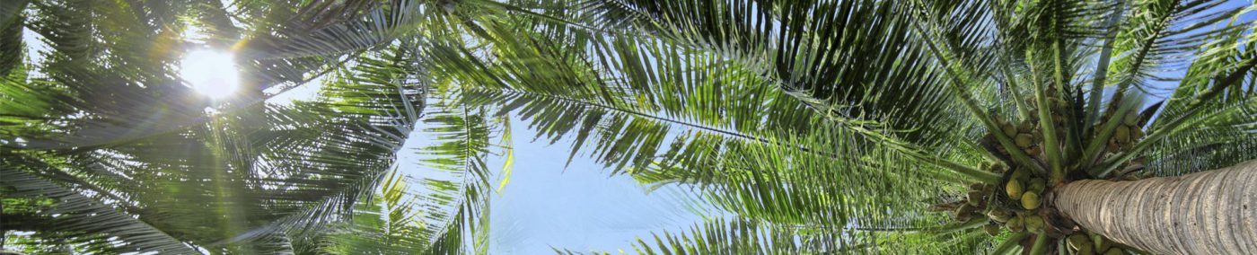 CÔNG TY CỔ PHẦN SÀI GÒN TÂM TÂM