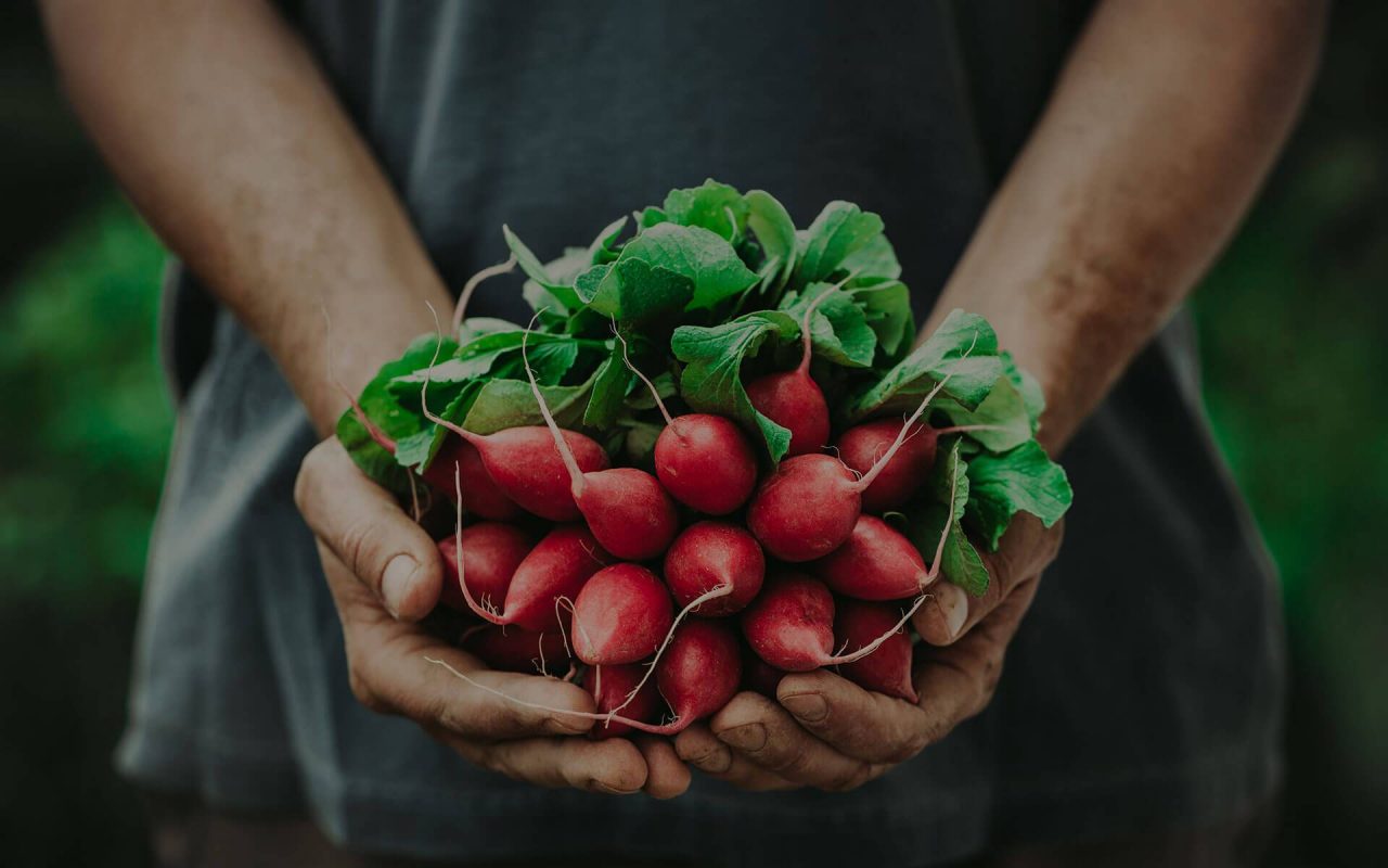 CÔNG TY CỔ PHẦN SÀI GÒN TÂM TÂM